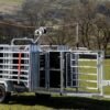 Mobile Sheep Handling Trailer – All Road Legal