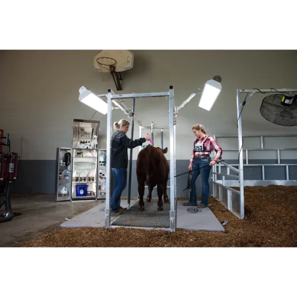 Chute Light