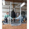 Chute Light