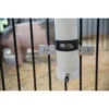 Pig Waterer