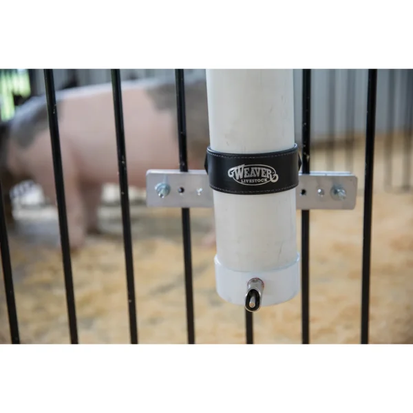 Pig Waterer