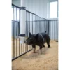 Pig Waterer