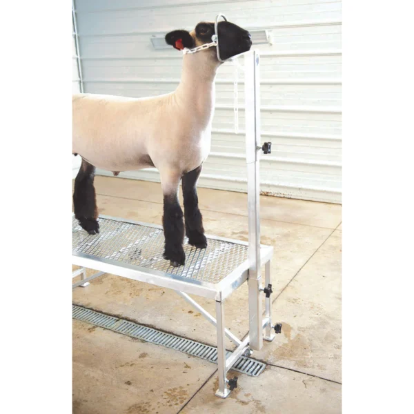 Complete Aluminum Trimming Stand