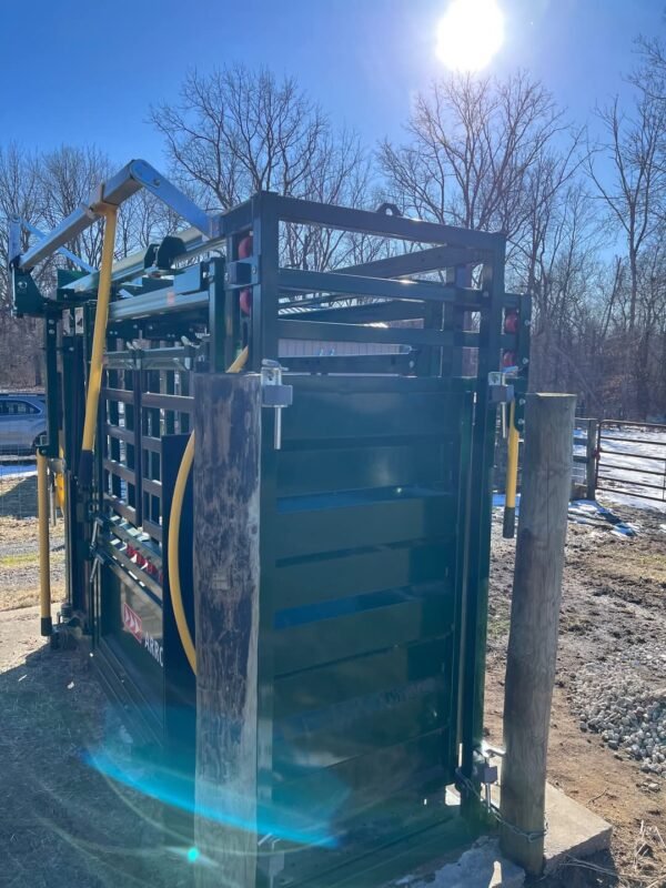 Cattle Chute