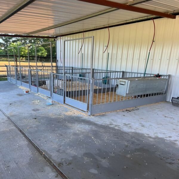 5' x 8' Pig Pens – 3ft Tall with 3.25" Bar Spacing