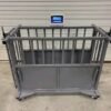 Livestock Scale