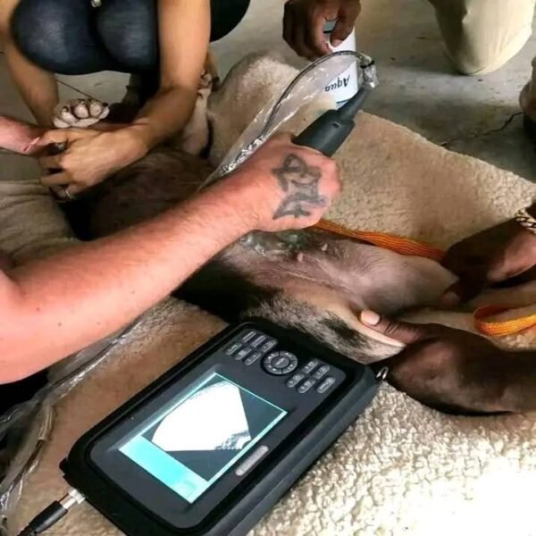 Gently Used Livestock Ultrasound Machine – Like New